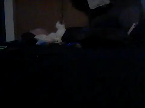 Silencio26 라이브 XXX 채팅