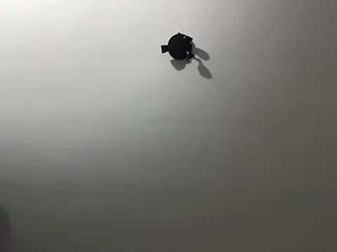 Nativewave1 live XXX chat