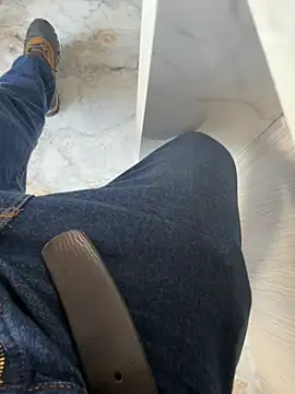 vergonboniton Webbikameraesitys