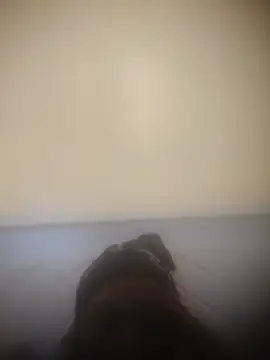 slyqueen Chat XXX live