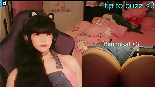 BimboCat 现场XXX聊天