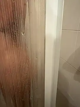 Jaguarita Webcam show