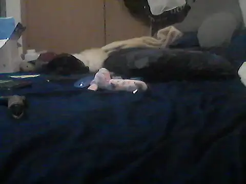 XXX chat uživo modela Silencio26
