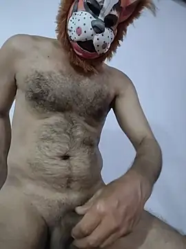 عرض كام zsder