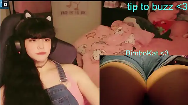 Chat +18 de BimboCat ao vivo