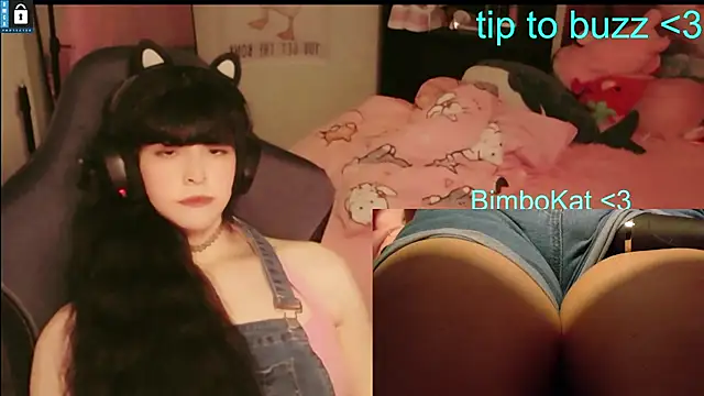BimboCat 即時 XXX 聊天