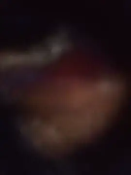 afrocamshootern Live XXX chat