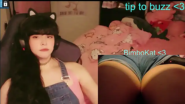 دردشة BimboCat الجنسية المباشرة