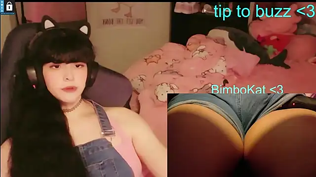 BimboCat 即時 XXX 聊天