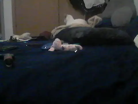 Show webcam de Silencio26