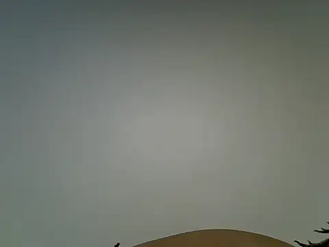 Sembang XXX Secara Langsung Swt_vixen