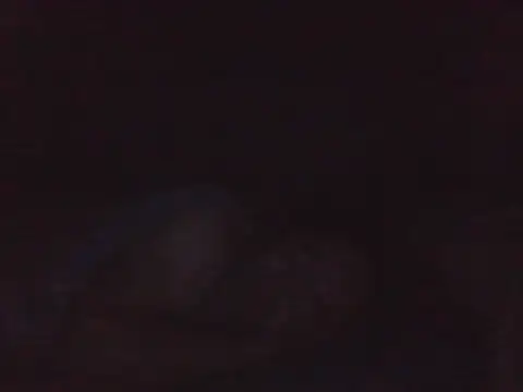 Živý XXX chat kikodaf1