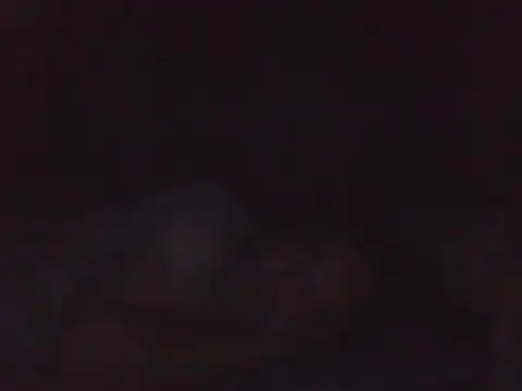 kikodaf1 Live XXX-chat
