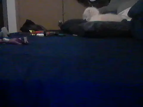 Chat +18 de Silencio26 ao vivo