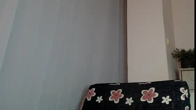 Chat +18 de JADAPink___ ao vivo