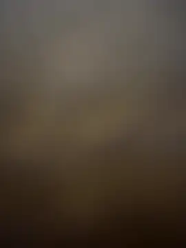 Majorcumlive's Webcam Show