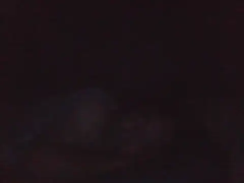 Živý XXX chat kikodaf1