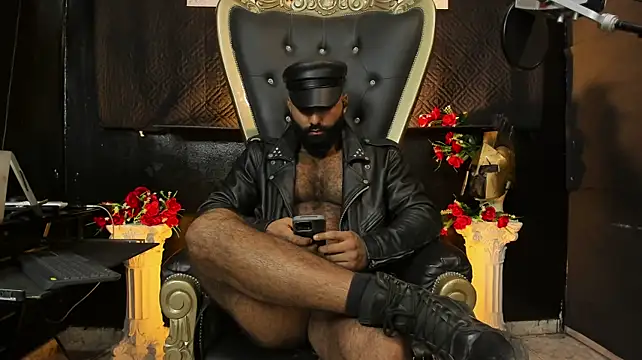 Онлайн чат XXX BeardAndrew