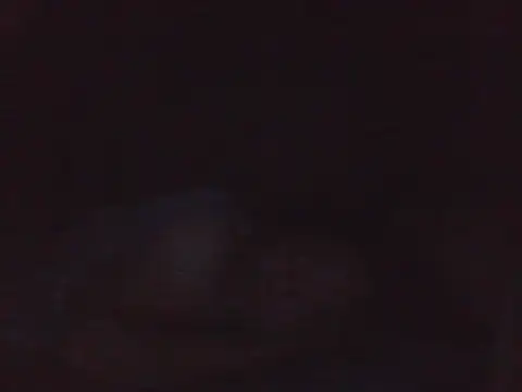 kikodaf1 Live XXX-Chat