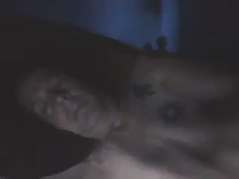 SHARPSkinhead's Webcam Show