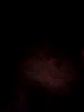 Zodxon Webbikameraesitys