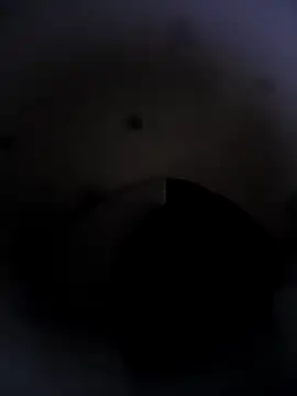 Blackandwhit66 Webcam show