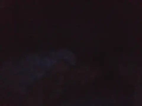 kikodaf1のウェブカメラショー