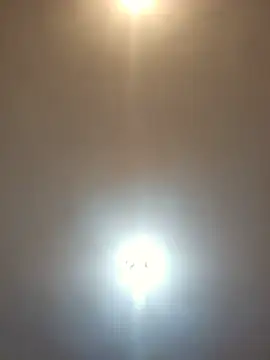 Živý XXX chat -TheCatCrazy-