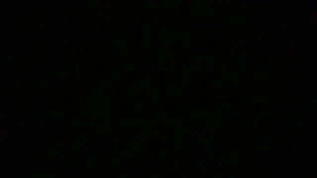 NuttyProfesir Show Webcam