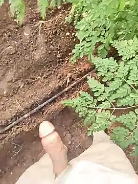 Živý XXX chat daxrajg