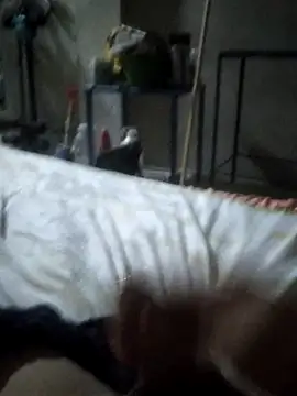 millershito25n Webbikameraesitys