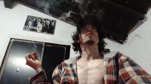 Show webcam de sk8-sir