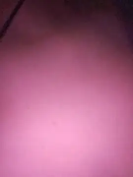 ScarletsWeb লাইভ XXX চ্যাট