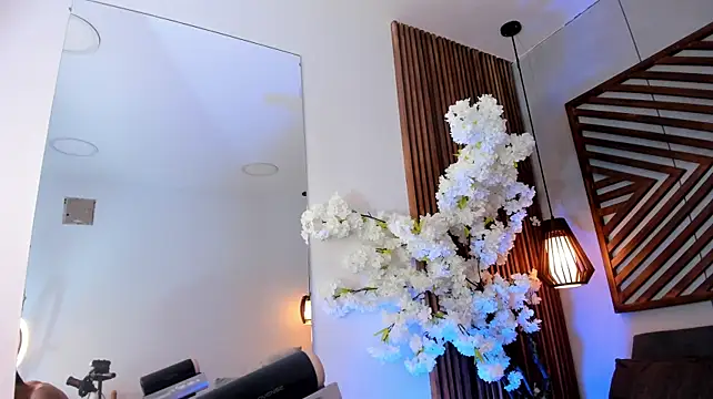 JacobDraven ওয়েবক্যাম শো