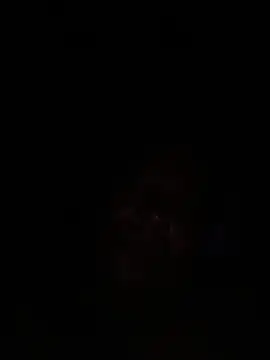 zesv Webcam Show