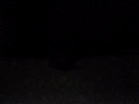 perlados Chat XXX live
