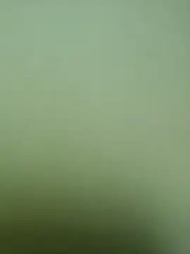 jaanubabybn Webbikameraesitys
