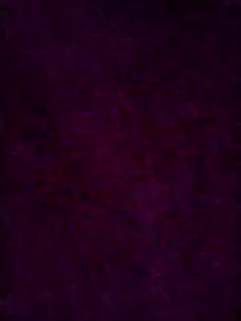 Chat XXX ao vivo de fischnet
