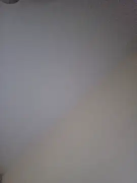 SingingTrunks ওয়েবক্যাম শো