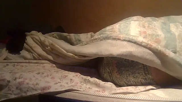 Chat XXX en directo de joaopimto0