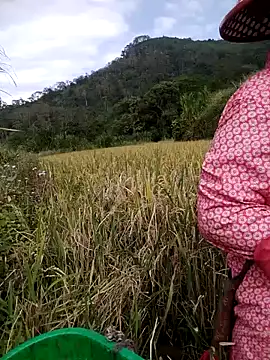 Single-M0m69 网络视讯表演