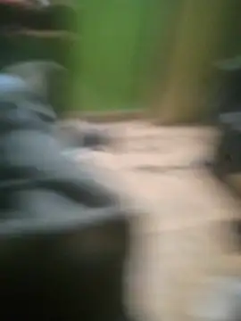 Elchabondestrip XXX чат на живо