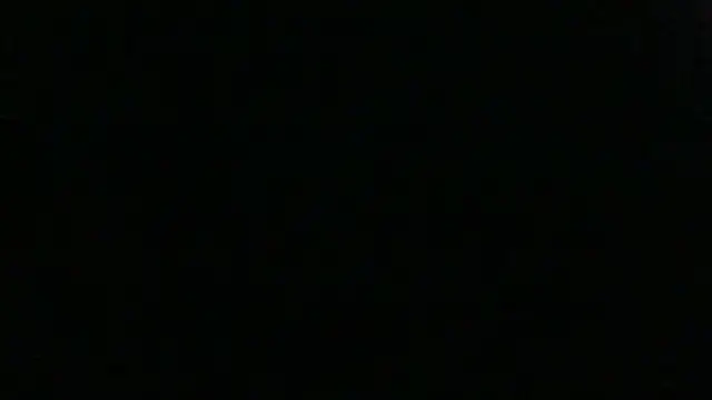 dracogotti Webcam Show
