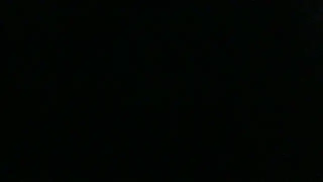 dracogotti Chat XXX live