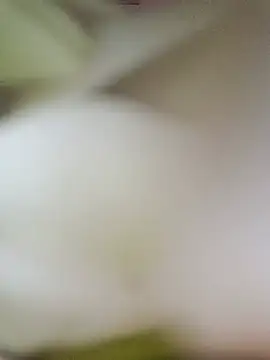 Tamil-lakhmi élő XXX-chatje