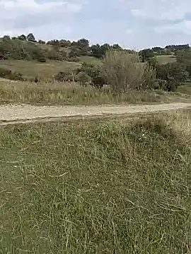 Saysomething3 – Naživo XXX chat