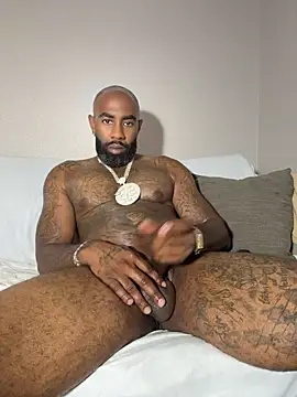QHefner52 Live XXX Chat