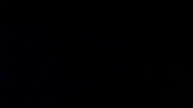 MelHorny03 webkamerás műsora