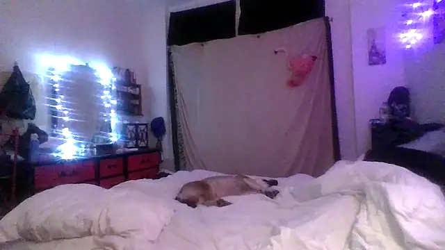 Chat XXX en directo de KingD238er