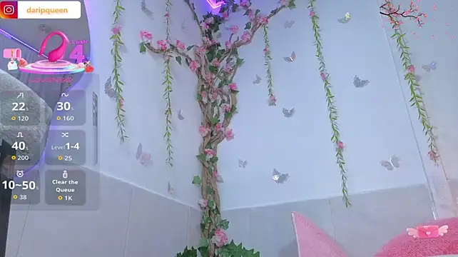 DaripQueen élő XXX-chatje